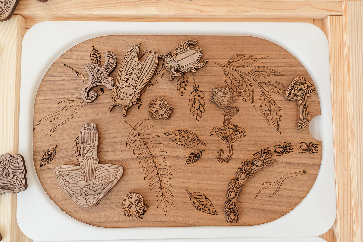 Sensory Explorer Kit