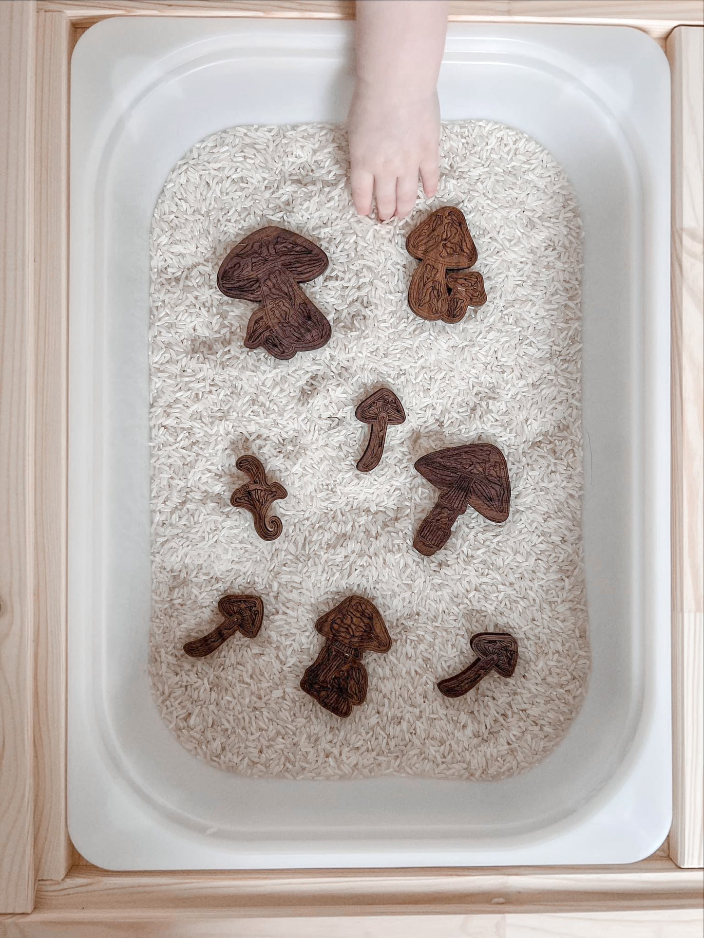 Sensory Explorer Kit